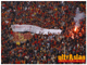 Galatasaray - Ankaraspor