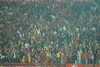 Galatasaray-Denizli