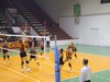 Galatasaray-Şişli (Bayan Voleybol)