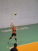 Galatasaray-Şişli (Bayan Voleybol)